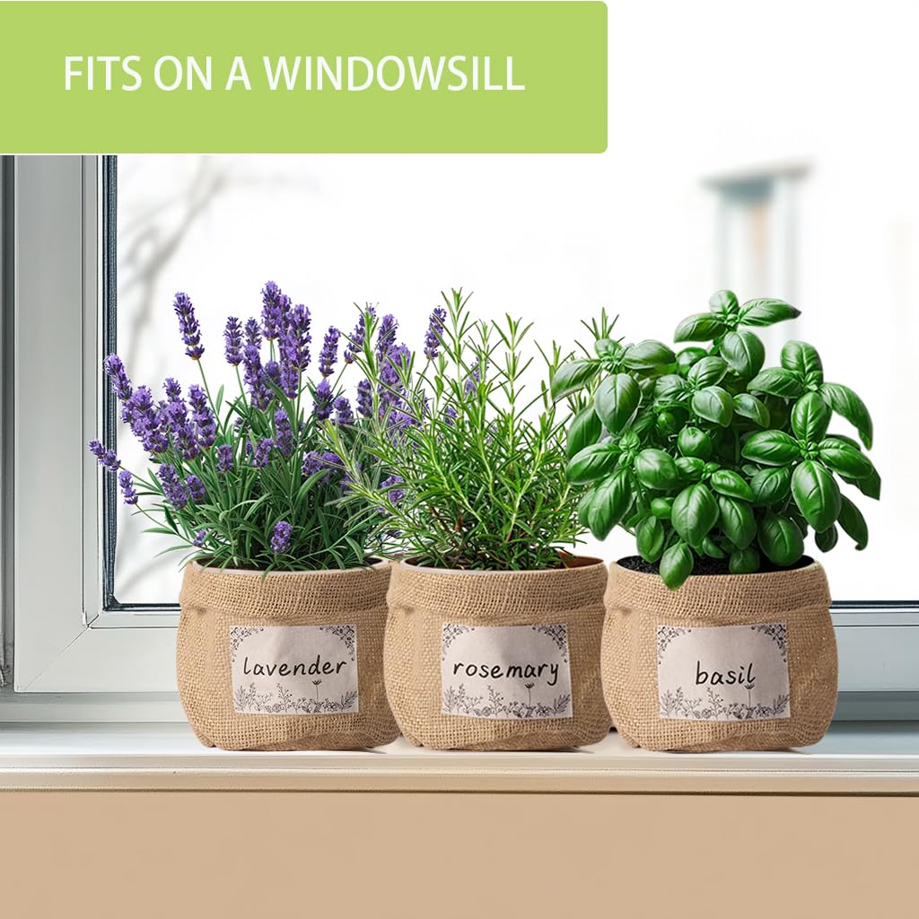 Amazon.com : TineDew 10 Sets herb pots for Indoor Plants,5 inch